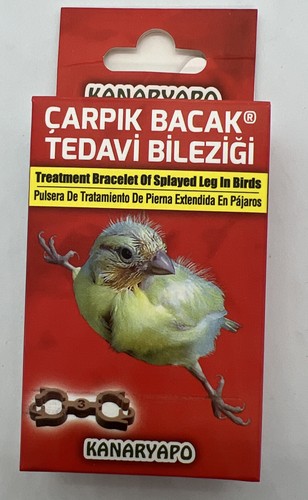 Canary finch bird splayed leg - finch,